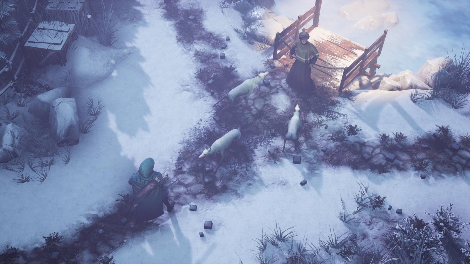 Portada de Winter Ember