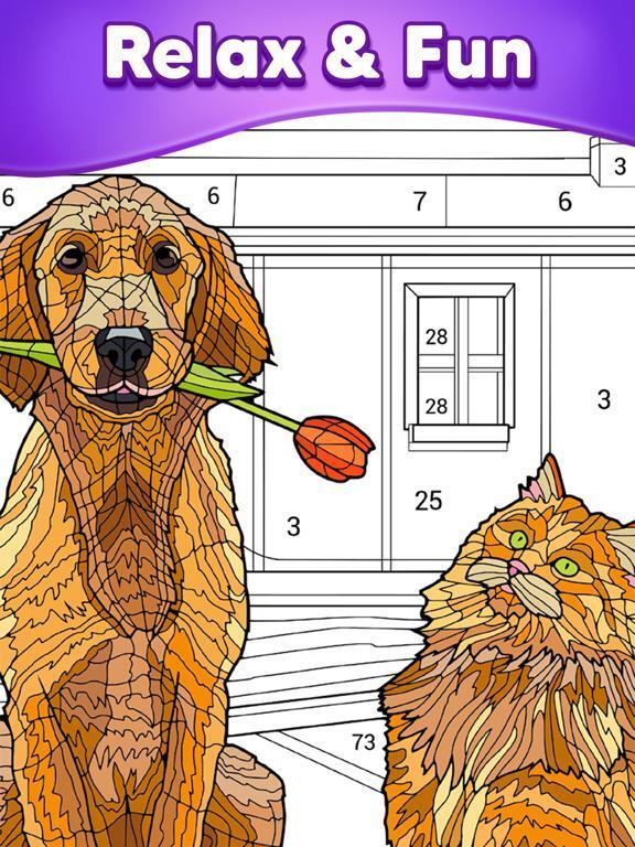 Portada de Color By Number - Color Match