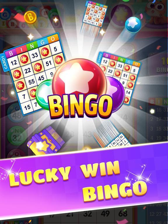 Portada de Bingo Fever2022