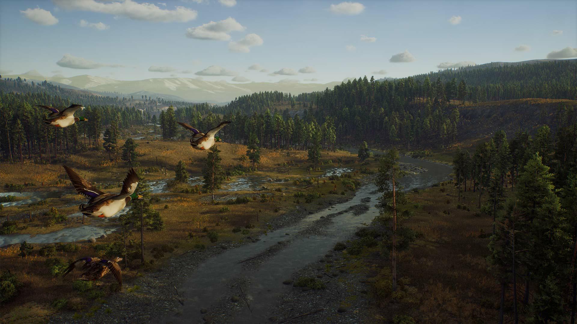 Portada de Way of the Hunter