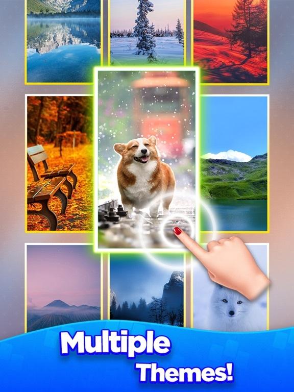Portada de Card Mania