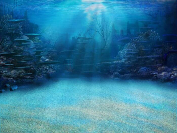 Portada de fish.jpeg