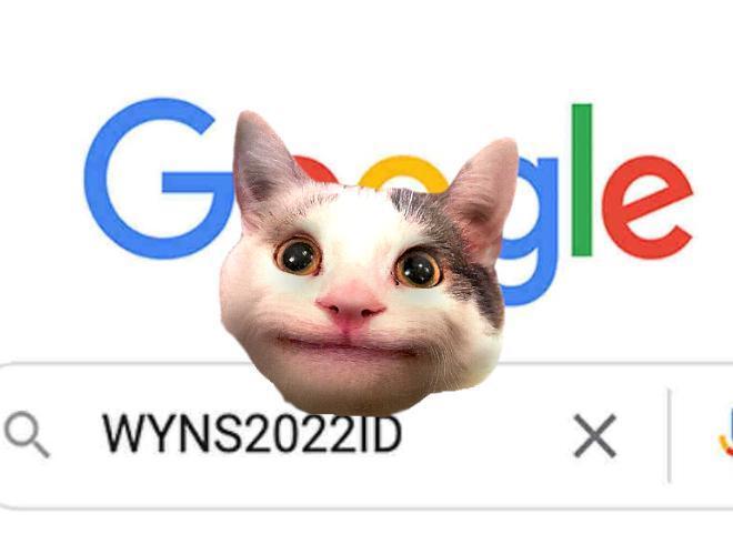 Portada de WYNS2022ID - The Game! (Beluga the cat)