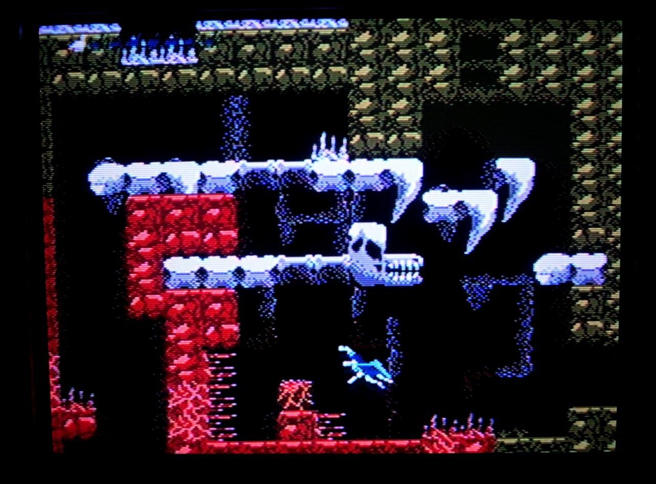 Portada de [NES] Total Extinction