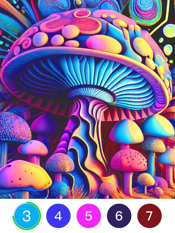 Portada de Color Day - Paint by number