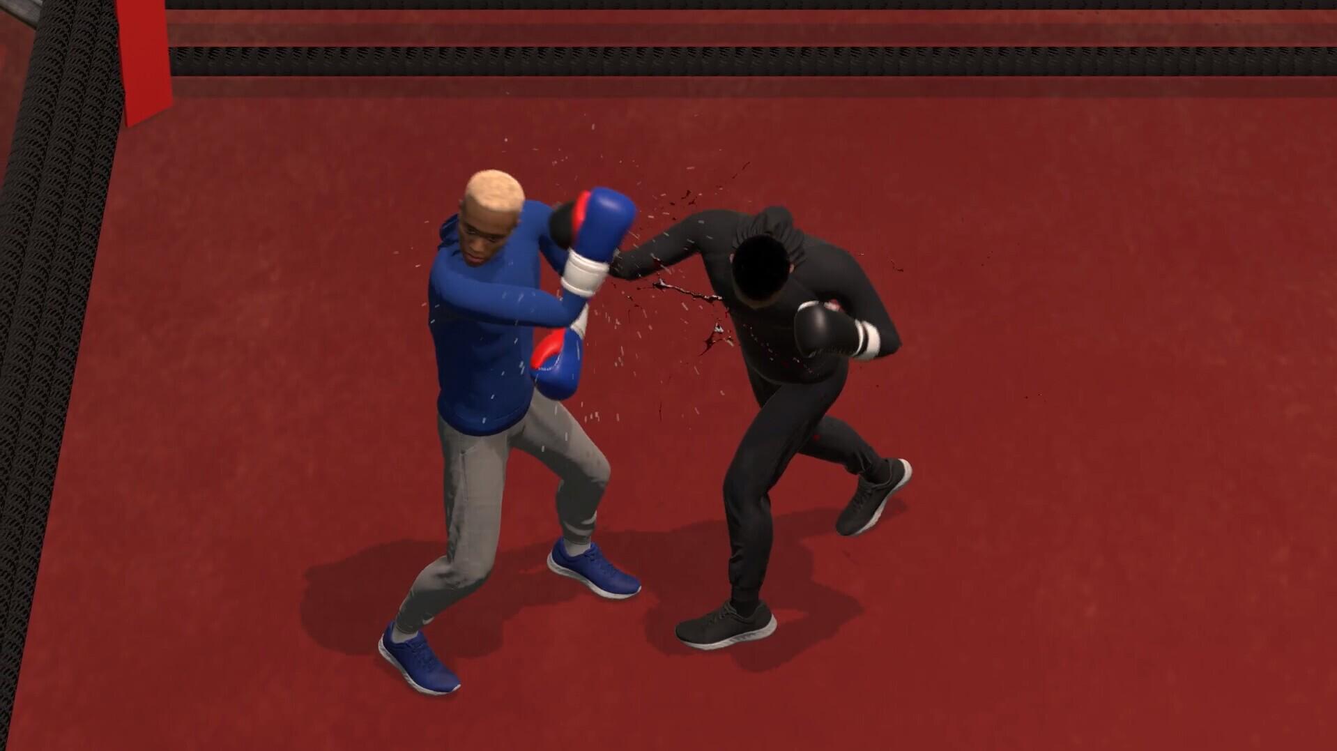 Portada de Bloody Knuckles Street Boxing