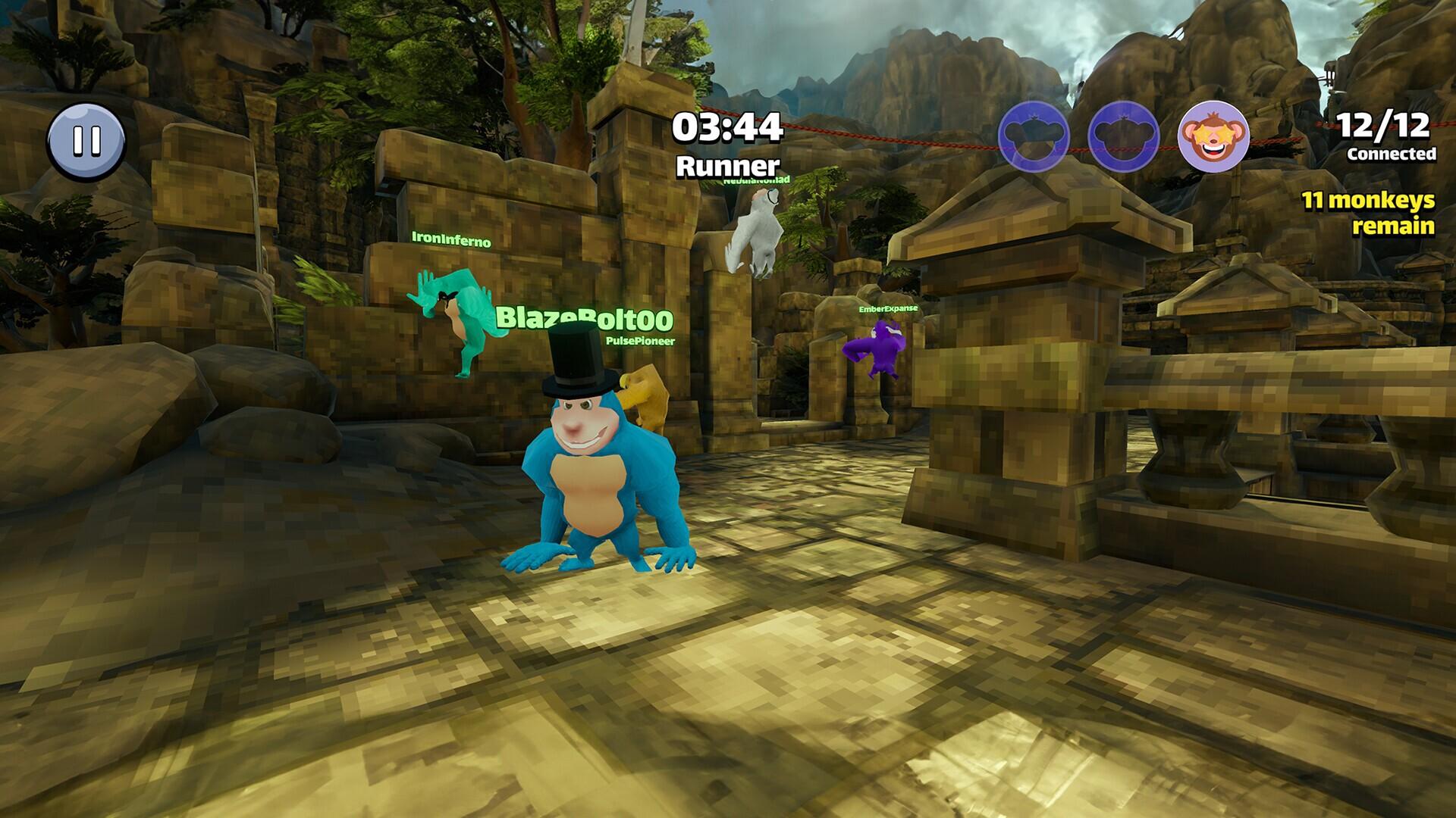 Portada de Monkey Tag Arena