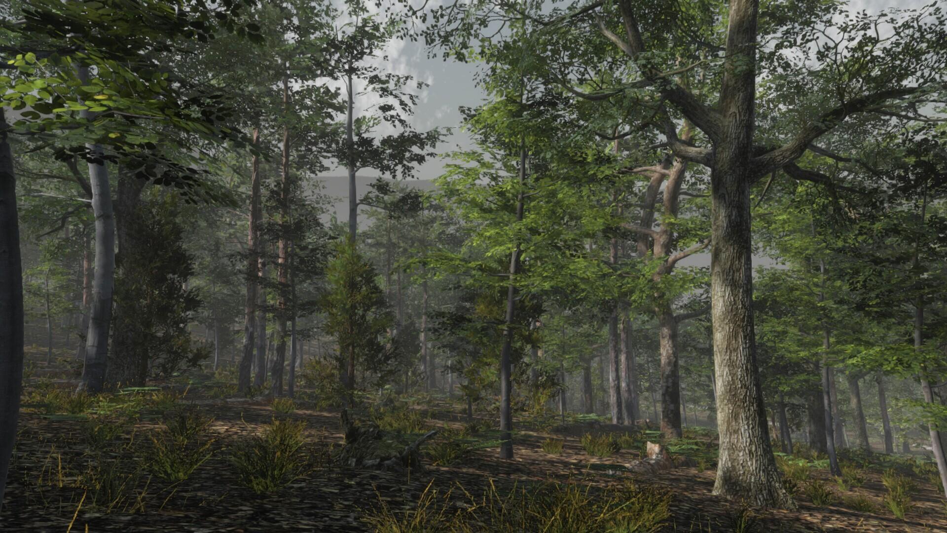 Portada de Deer Hunting Camp