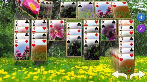 Portada de Solitaire 3D - Solitaire Game