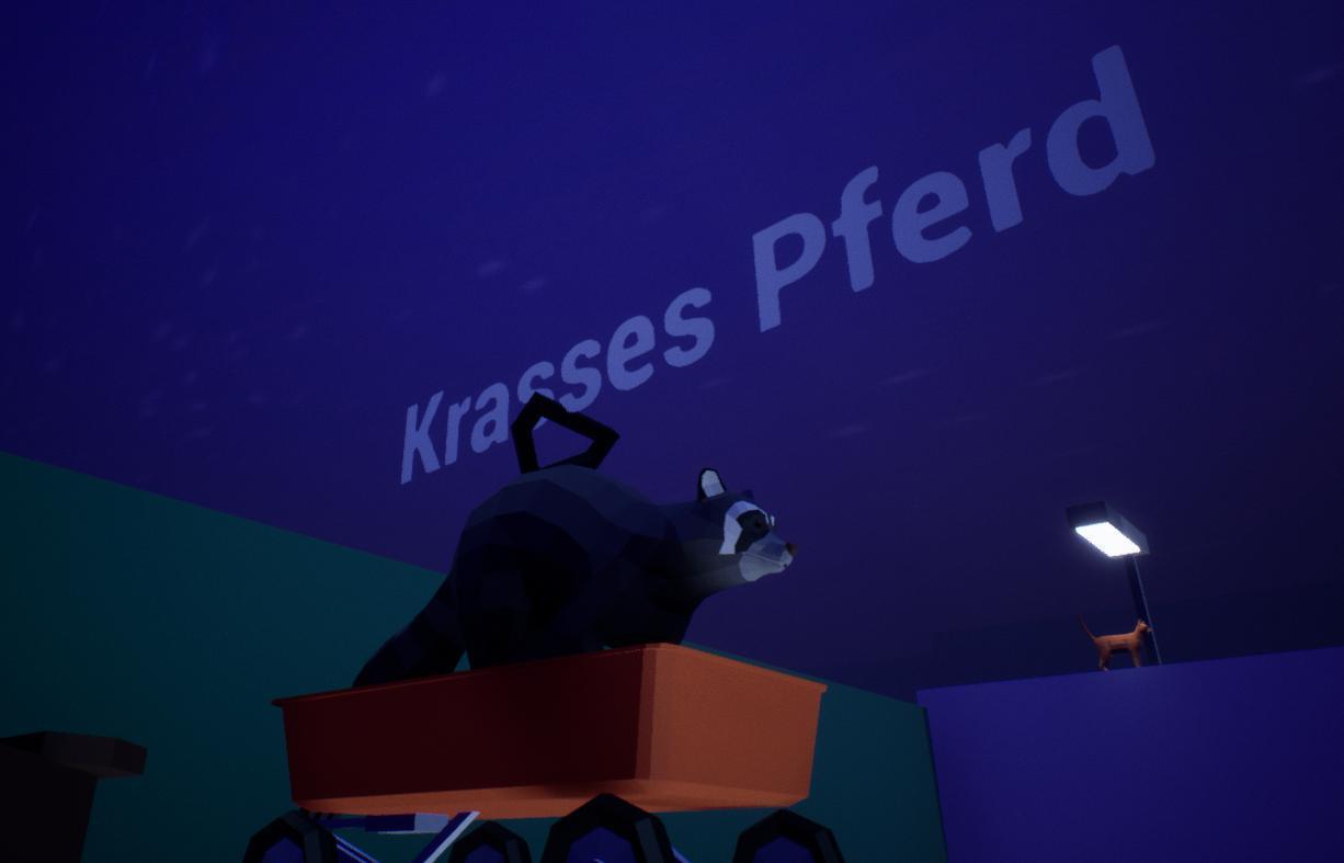 Portada de Snaccoon