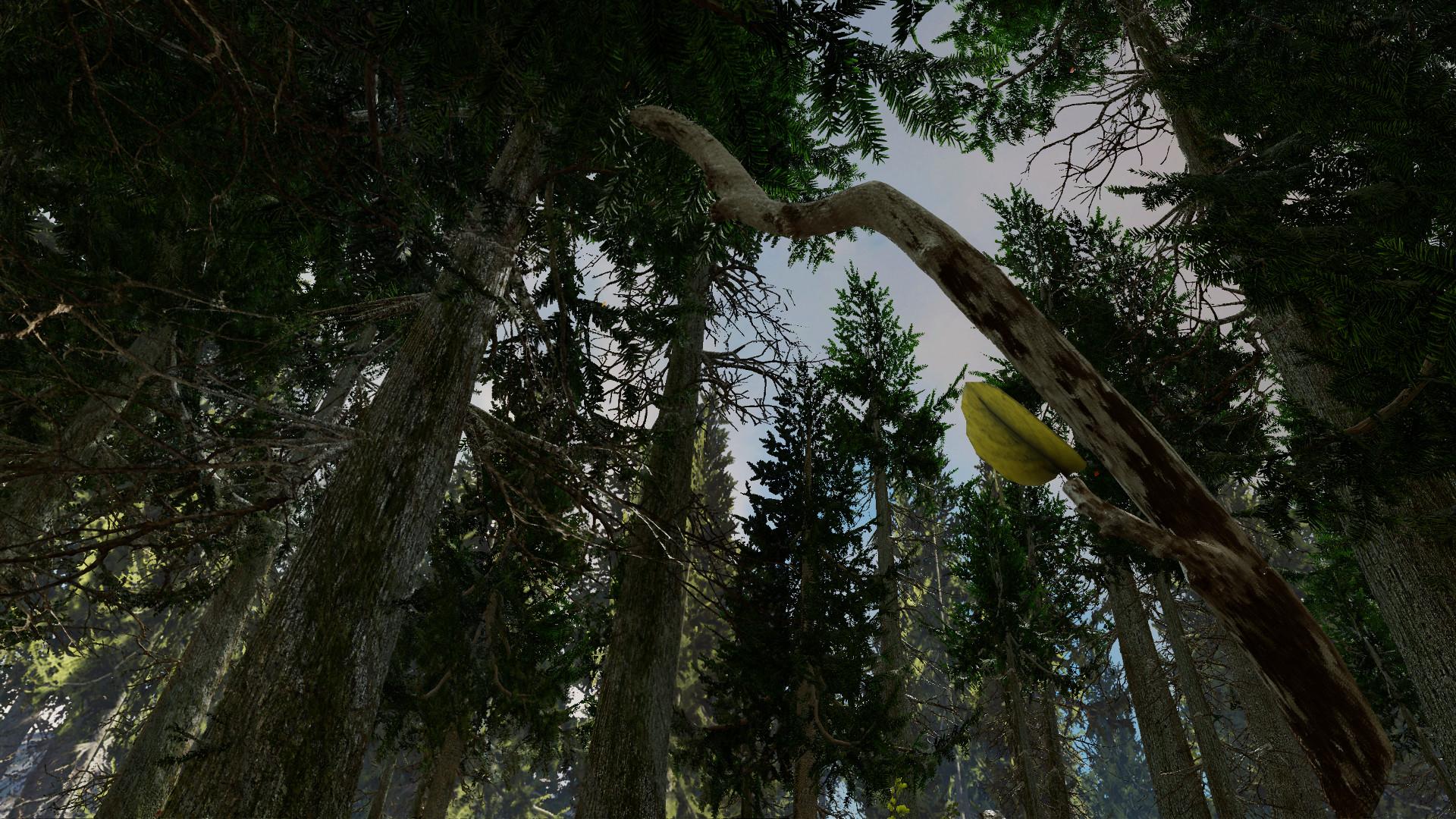 Portada de Shinrin-yoku: Forest Meditation and Relaxation