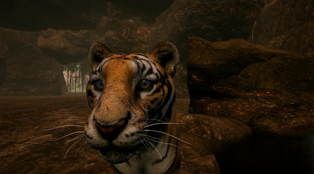 Portada de The Savana