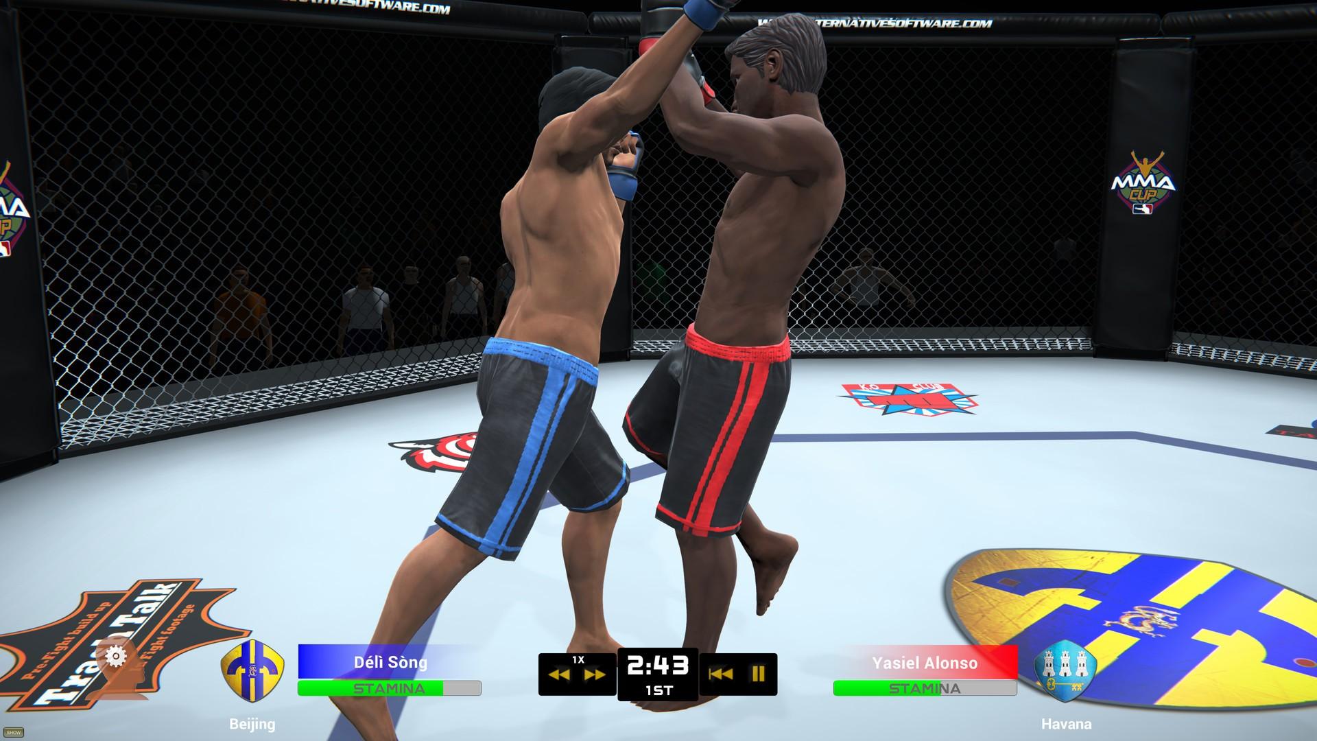 Portada de MMA Team Manager
